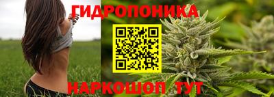 мяу мяу мука Славянск-на-Кубани